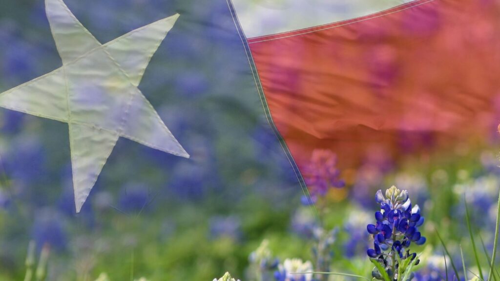 What Should Texas Permanent Residents Do After a Green Card Is Stolen