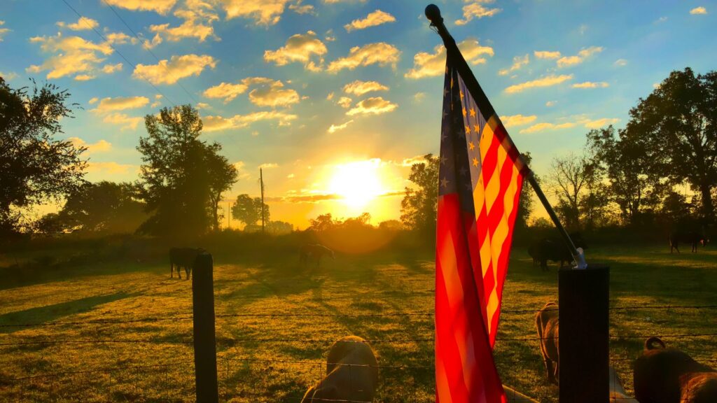 Contact a Removal Defense Attorney in Texas Before Your Next Immigration Hearing image